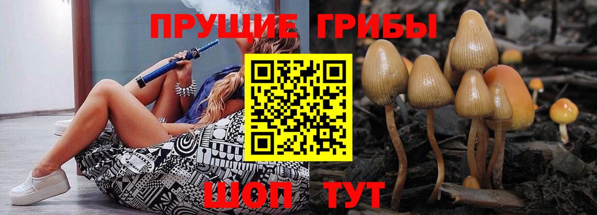 где найти   Вход с VPN  Заречный  Галлюциногенные грибы мицелий 